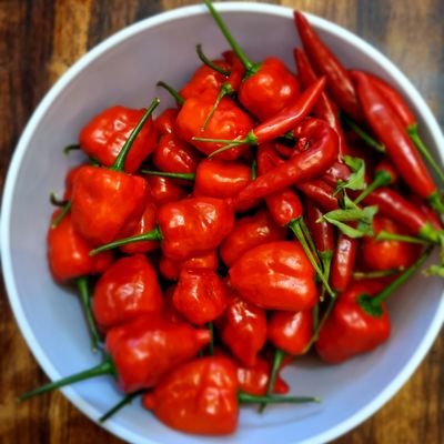 SueFay1's profile picture. 