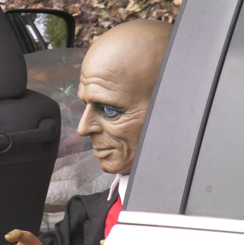 wormbound's profile picture. When conditions are just right, I can turn my nose inside out.