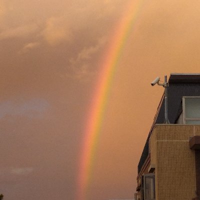 haiborukoime's profile picture. 365日外食
膨大にありすぎてその時の味を忘れない為に‥

だったけど、自炊復活⤴️
ほぼ自炊の生活になり身体も健康に💪
でも外食の心が満たされる感じが好き✨

基本自分の食事の記録の為に始めたので、ほぼRTしなくてごめんなさいm(__)m
でも美味しいものには興味あるので、フォローさせて貰ってます