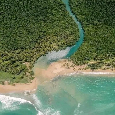 Espirografo05's profile picture. 