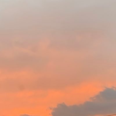 藤井風さんが大好きです🍃❤️保護猫のはな🐈⬛とふく🐈と暮らしています。X初心者です。分からないまま風愛を叫びたくなって始めました🔰無言いいね♡フォロー失礼します🙏😊Be Happy Always ✨
