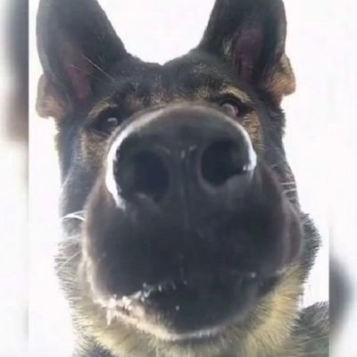 Twitch Affiliate and wannabe streamer https://t.co/iNFX1cP9Kj Spreading positive vibes wherever I can