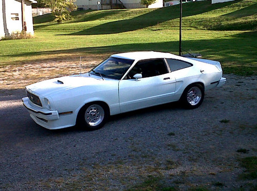 rawdogn69's profile picture. 