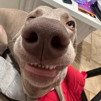 あいすさんのプロフィール画像