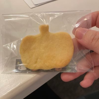 てんかん発作と双極性障害持ちの私が日常で笑顔になる場面を保てる様に作りました。普段はバイト帰りにカードゲームをしてます。