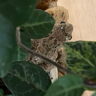 休日は、三河湾や浜名湖で釣りしています。投げ釣りでキス、ウキフカセ釣りでクロダイ、メバリング、川釣りなど。生き物、キャンプ、DIY、アニメ、将棋も好き。本業は、情報工学系大学教員で、そちらもつぶやきます。フォロー歓迎!