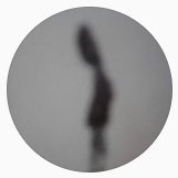 zaracathustra's profile picture. coso