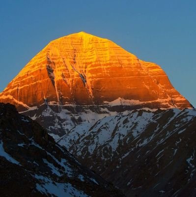 harryk369's profile picture. Stoic, biohacking and optimal health