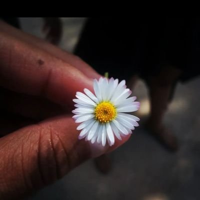 MiimouneDamour's profile picture. Joie de vivre ✌