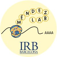 Méndez Lab(@RMendezLab) 's Twitter Profile Photo