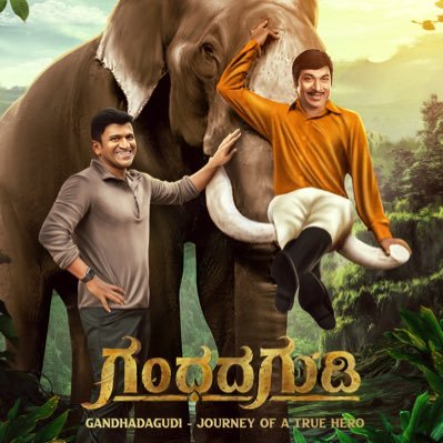 Harishcoorg42's profile picture. 