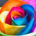 Rosa Mela (@rosa_mela_m) Twitter profile photo Rosa Mela (@rosa_mela_m) Twitter profile photo