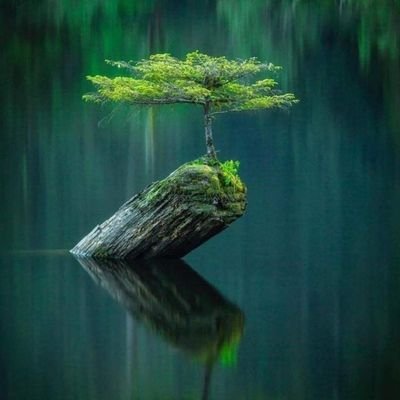 shabira67530887's profile picture. ہمم برے ہیں بس بات ختم