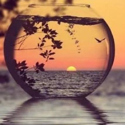 esra61589553's profile picture. .