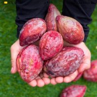 ولاية بوشر (@bwsrwy1) Twitter profile photo