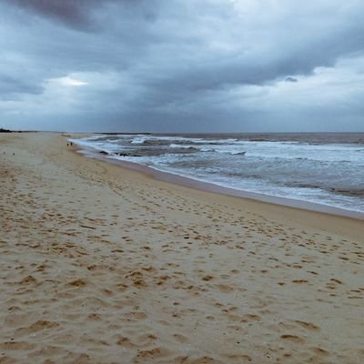 PedroVi49068852's profile picture. 