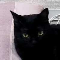 shi-n (@shinya_n1208) 's Twitter Profile