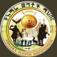 Amhara Youth Association🦅(@amhara_youth_US) 's Twitter Profileg