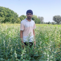 BAHNU PRATAP GHASIL (@ghasilpratap) 's Twitter Profile