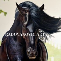 Radovanovic Art (@radovanovic_art) 's Twitter Profile