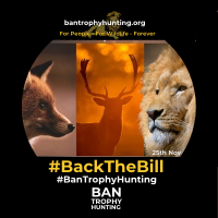 🌹#LAWS4Animals 🐾🦁🦊🐘🦛🦒🐒🌿🌳(@Labour4Animals) 's Twitter Profile Photo