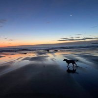 Chris Tolson (@christolsonht) 's Twitter Profile Photo Chris Tolson (@christolsonht) 's Twitter Profile Photo