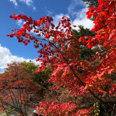 jihyuk1130sj's profile picture. 