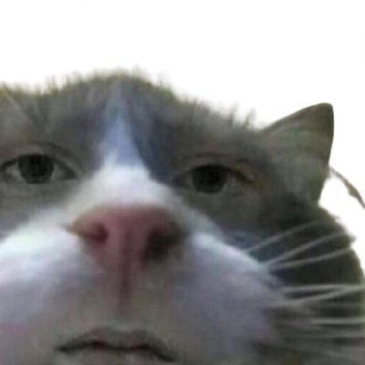 clarkusaurus's profile picture. lol