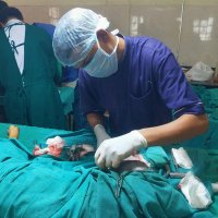 Dr. Siddharth_vet (@siddhar92601389) 's Twitter Profile