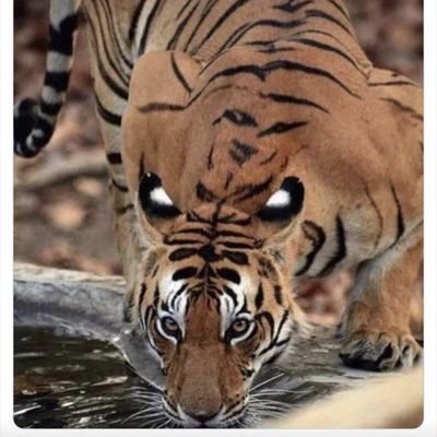 nyawiji01's profile picture. Manusia merdeka