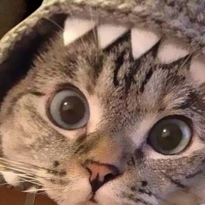 Hollyaay's profile picture. 