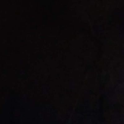 Poryend's profile picture. 観賞用