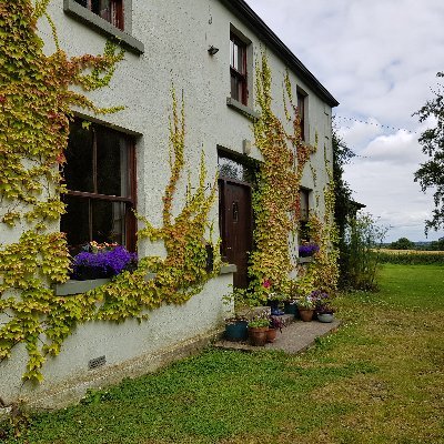 We provide B&B here on our Nth. Tipperary smallholding. Come stay with us, and enjoy our homegrown pork, lamb, chicken, eggs and vegetables. We also run courses