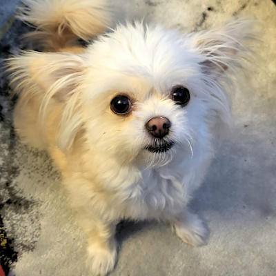 StefanJ49129884's profile picture. Av födseln sosse. står upp för mänskliga rättigheter.