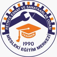 Fethiye ESO MEM (@eso_mem) 's Twitter Profile