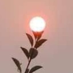 Correct me in private, if I'm Wrong.

Life is a Journey.
Die with memories, not with Dreams.