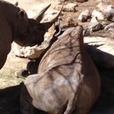 Tyler Holder - @TylerHo59241142 - Twitter