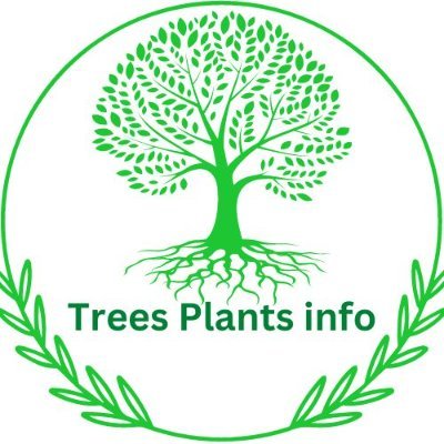 Treesplantsinfo Profile Picture