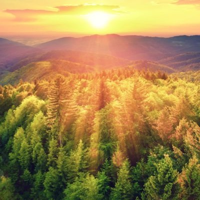 Marek_Ertl's profile picture. 
