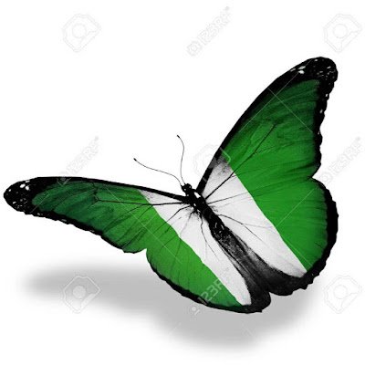 NigerianView_NV's profile picture. 