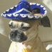 SCOUT'S MOM (@yeadon1020) Twitter profile photo SCOUT'S MOM (@yeadon1020) Twitter profile photo