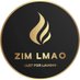 Zim Lmao 🇿🇼 (@ZimLmao) Twitter profile photo