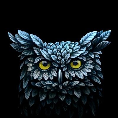 sirden44's profile picture. 