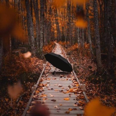 Harries79811730's profile picture. 