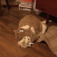 crush🦊 (@mohdone_23) 's Twitter Profile