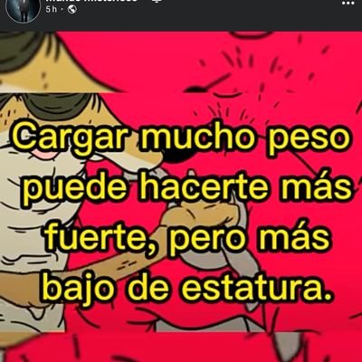 Mauri94451848's profile picture. 