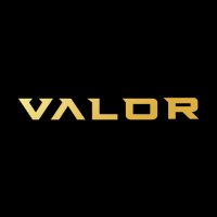 Valor Bare Knuckle(@ValorBK) 's Twitter Profile Photo