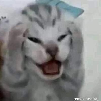 RyOssG11's profile picture. cuentaflop