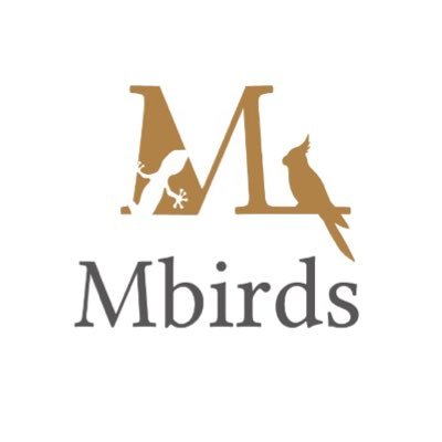 Mbirds(えむばーず)の公式Twitterです。オカメインコをメインに、小動物のブリード、爬虫類の販売をしております。可愛い子たちのごはんやおやつも販売しております❣️卸売もご相談ください！ハムスターはレアカラーを中心にブリードしております！おやつフードの通販はDMへ！動物取扱業第80-0279号