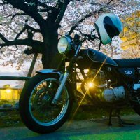ひひまる☆スター (@srhihimarujb64w) 's Twitter Profile